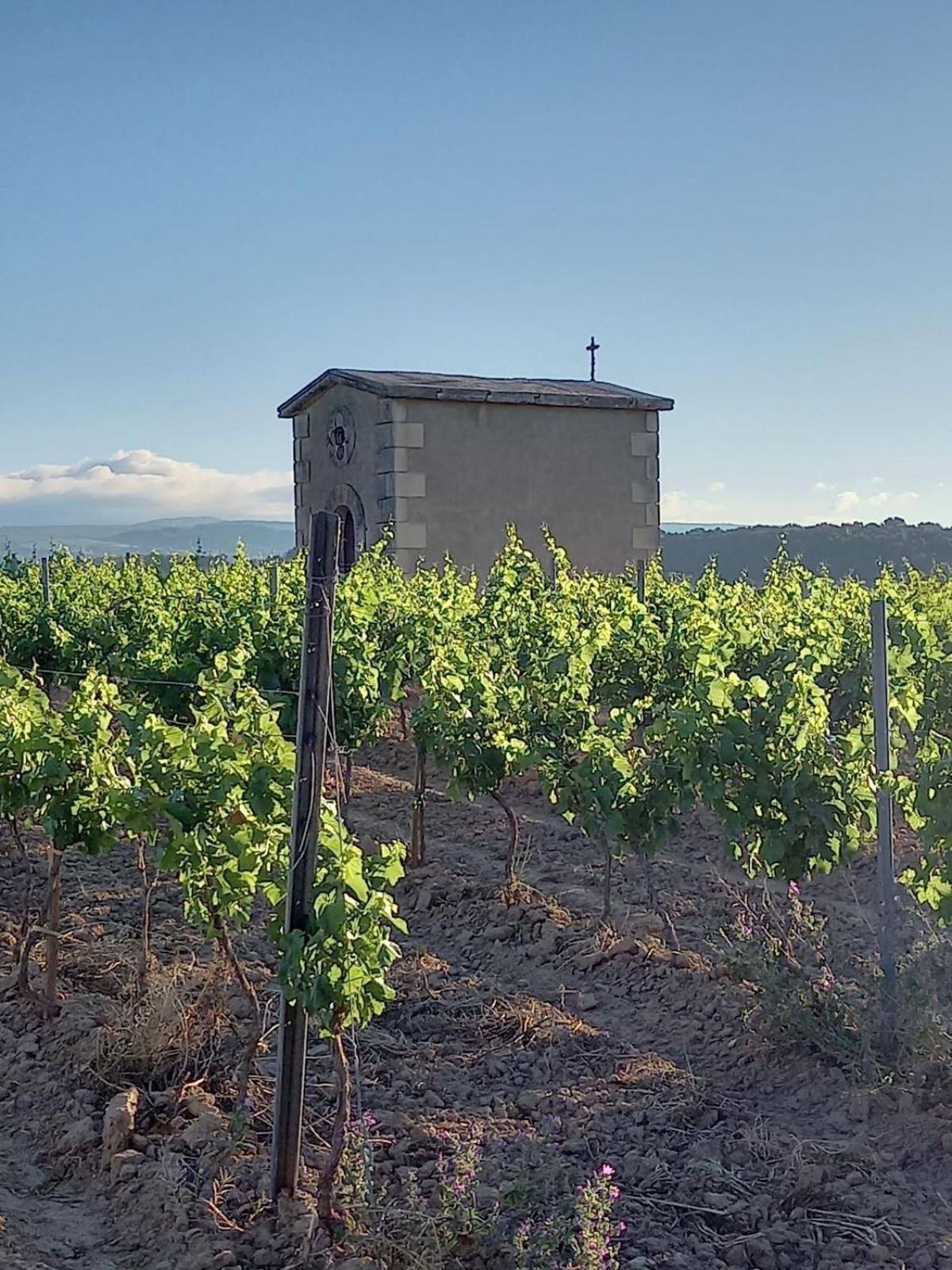 Domaine Saint Augustin Villa Rieux-Minervois Dış mekan fotoğraf