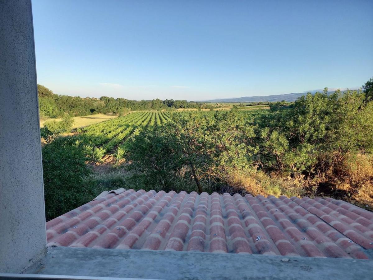Domaine Saint Augustin Villa Rieux-Minervois Dış mekan fotoğraf